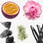 Preview: Duftnoten: Passionsfrucht, Pfingsrose, Moschus, Eichenmoos, Vanille Preview: Duftnoten: Passionsfrucht, Pfingsrose, Moschus, Eichenmoos, Vanille